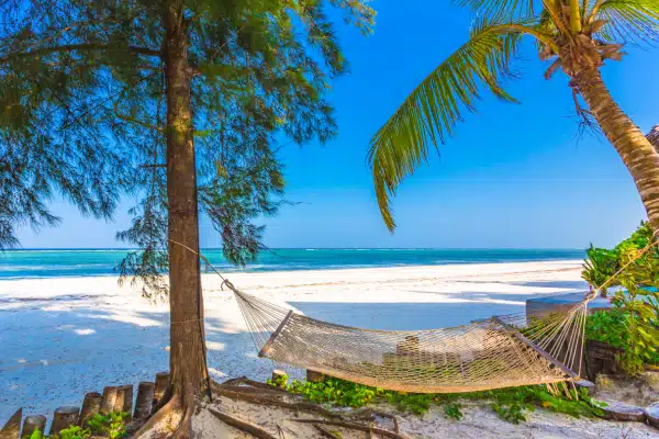 A hammock is tied between a palm tree and another tree on a sandy beach, overlooking a calm blue ocean under a clear sky.
