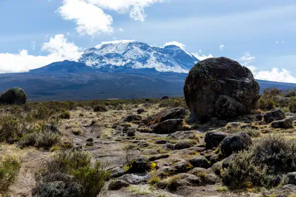 A rocky landscape with scattered shrubs and a large boulder in the foreground, with Mount Kilimanjaro’s snow-capped peak rising under a partly cloudy blue sky in the background.